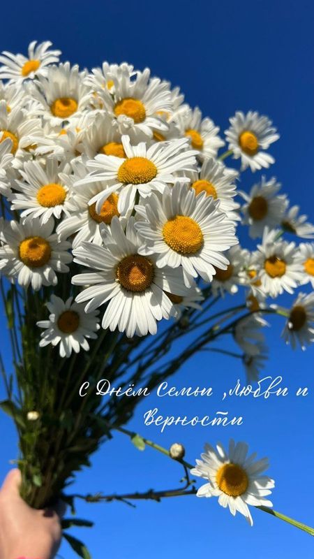 Поздравление с Днем Семьи, Любви и Верности!.