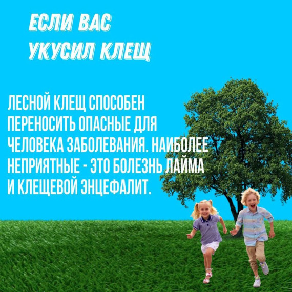 Что делать, если вас все-таки укусил клещ, читайте в наших карточках. Что делать, если вас все-таки укусил клещ, читайте в наших карточках.
